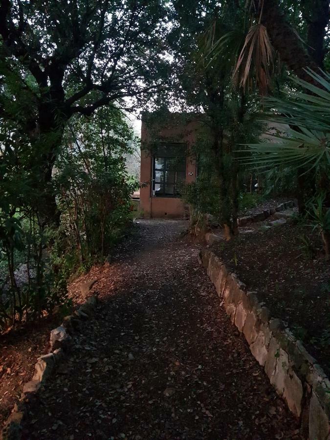 Villa Eugenia リヴォルノ エクステリア 写真